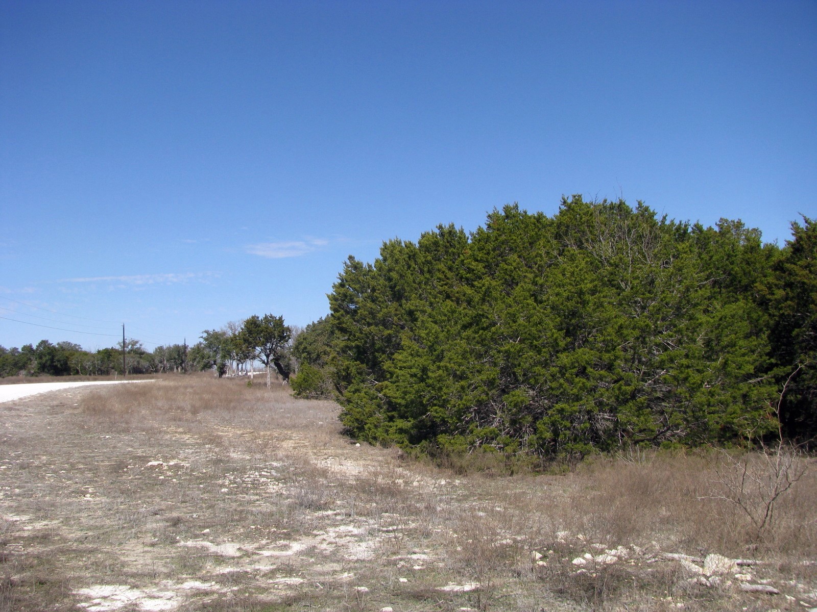 Lot 39 Ph 6 Private Road 42103 Evant TX 76525