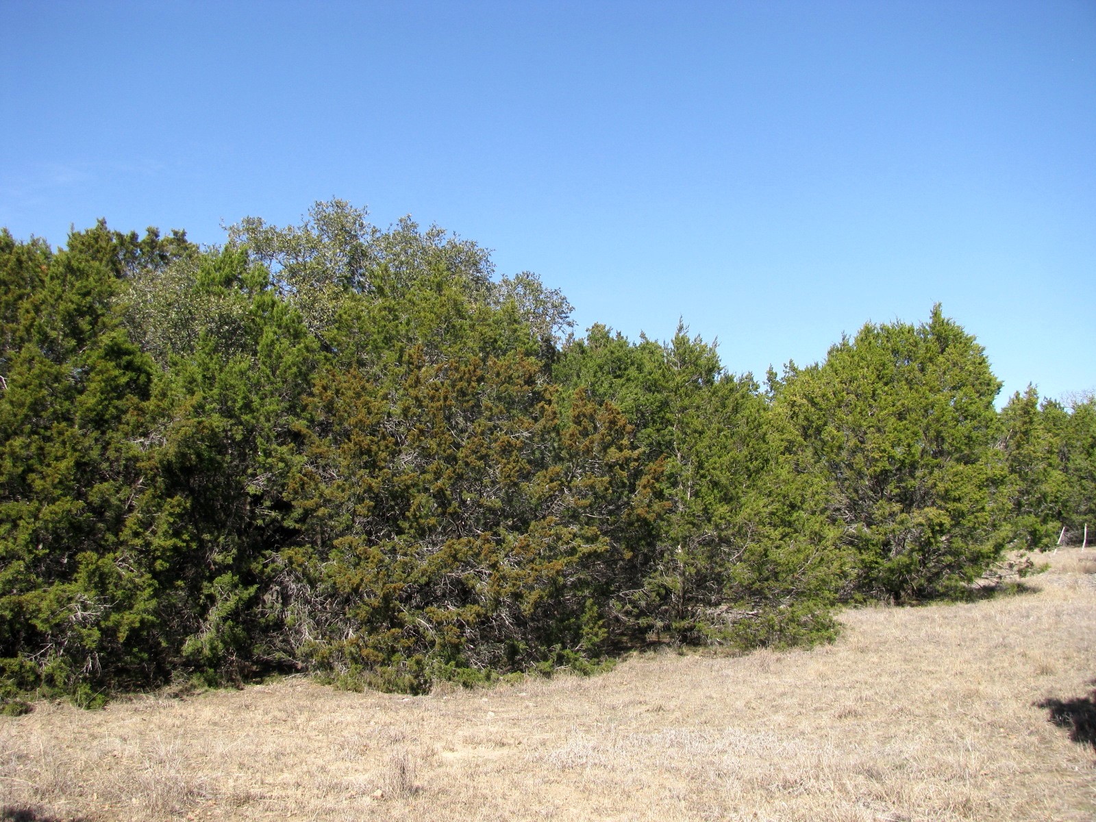 Lot 39 Ph 6 Private Road 42103 Evant TX 76525
