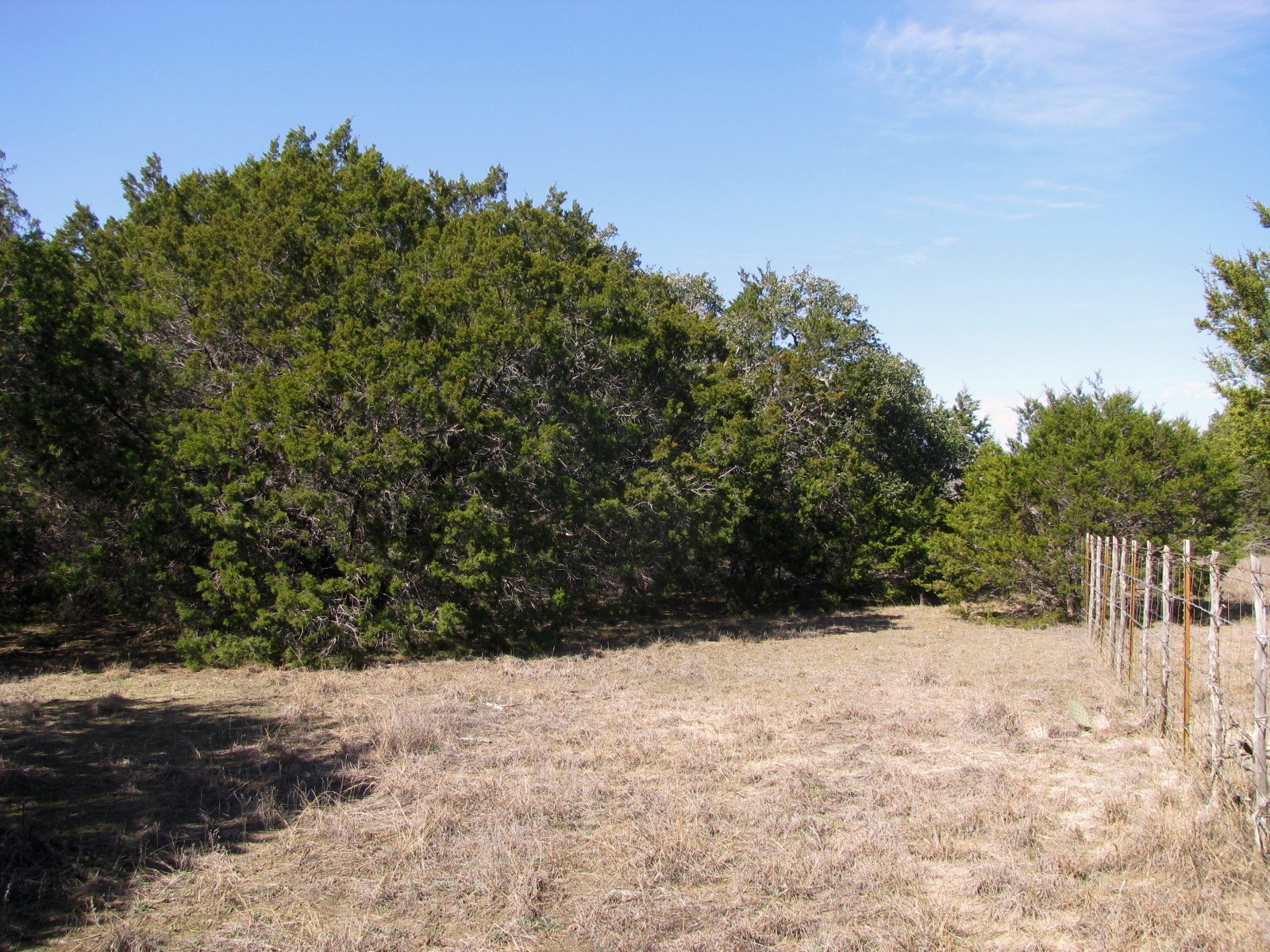 Lot 39 Ph 6 Private Road 42103 Evant TX 76525