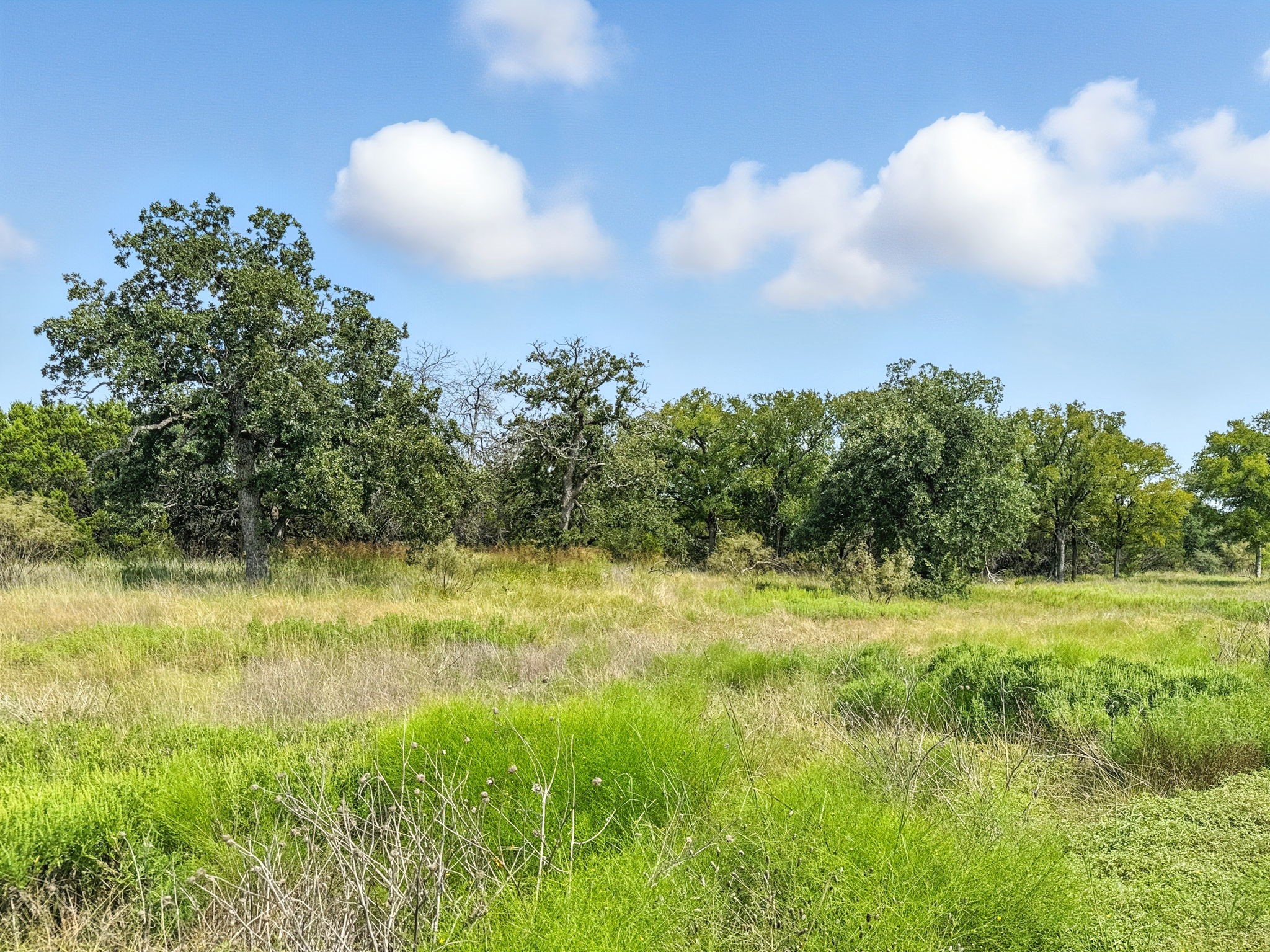 Lot 39 Ph 6 Private Road 42103 Evant TX 76525
