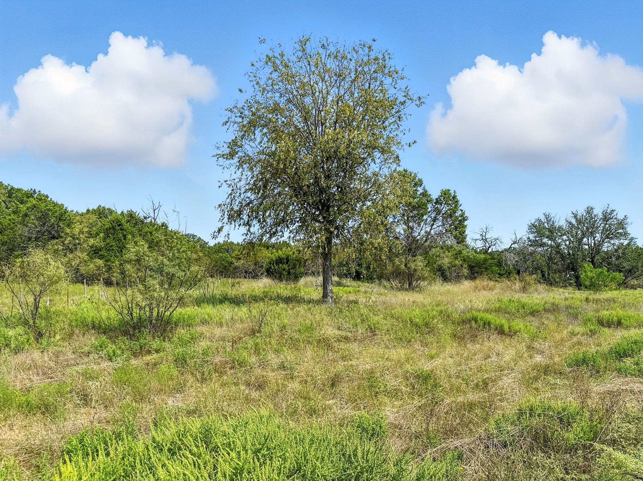 Lot 39 Ph 6 Private Road 42103 Evant TX 76525