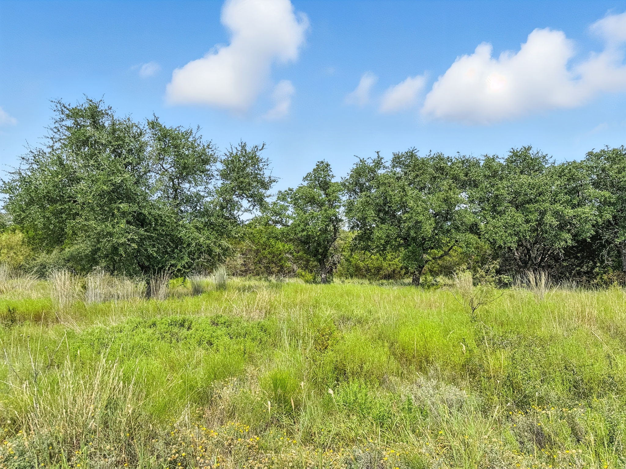 Lot 39 Ph 6 Private Road 42103 Evant TX 76525