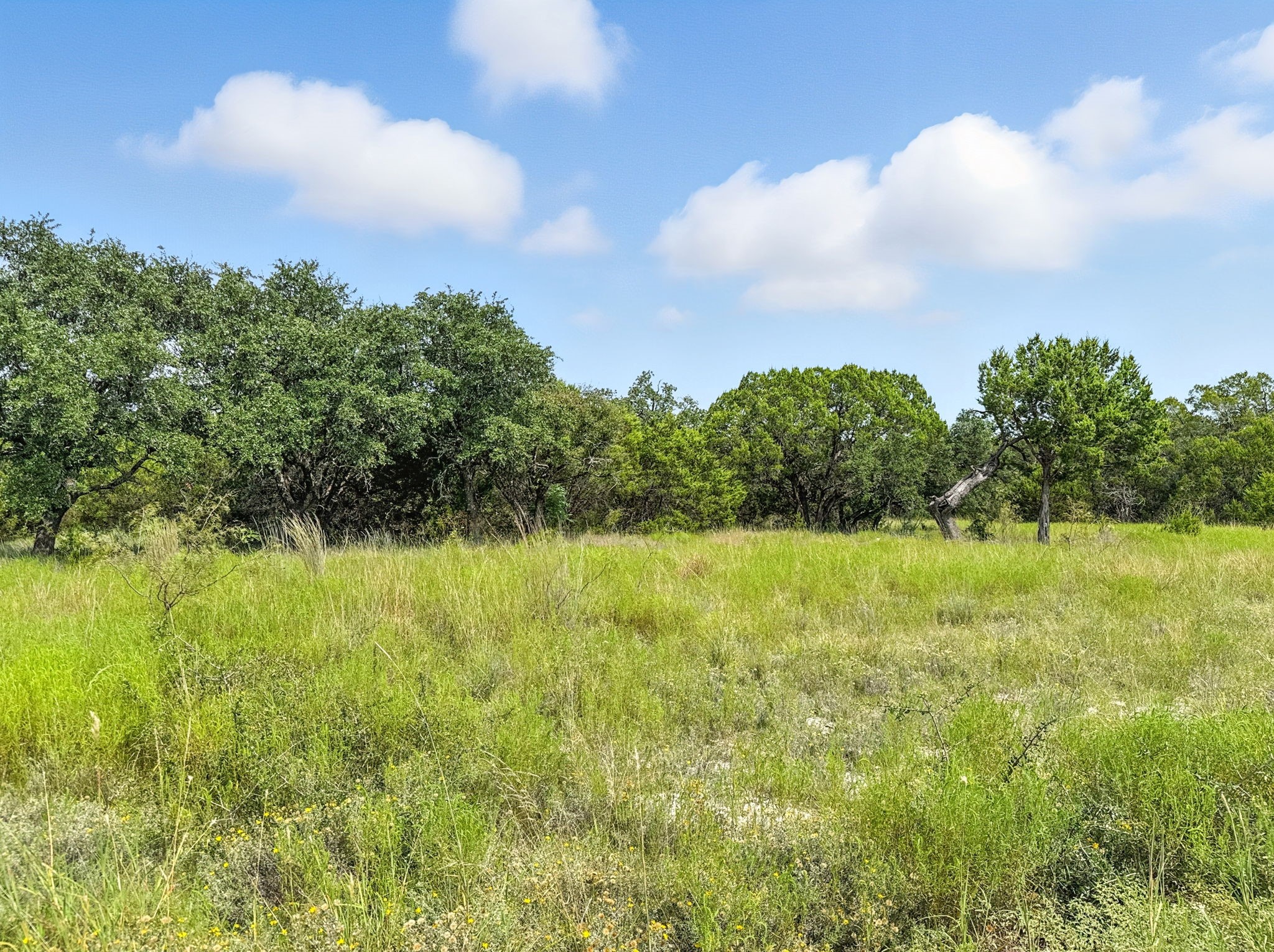Lot 39 Ph 6 Private Road 42103 Evant TX 76525
