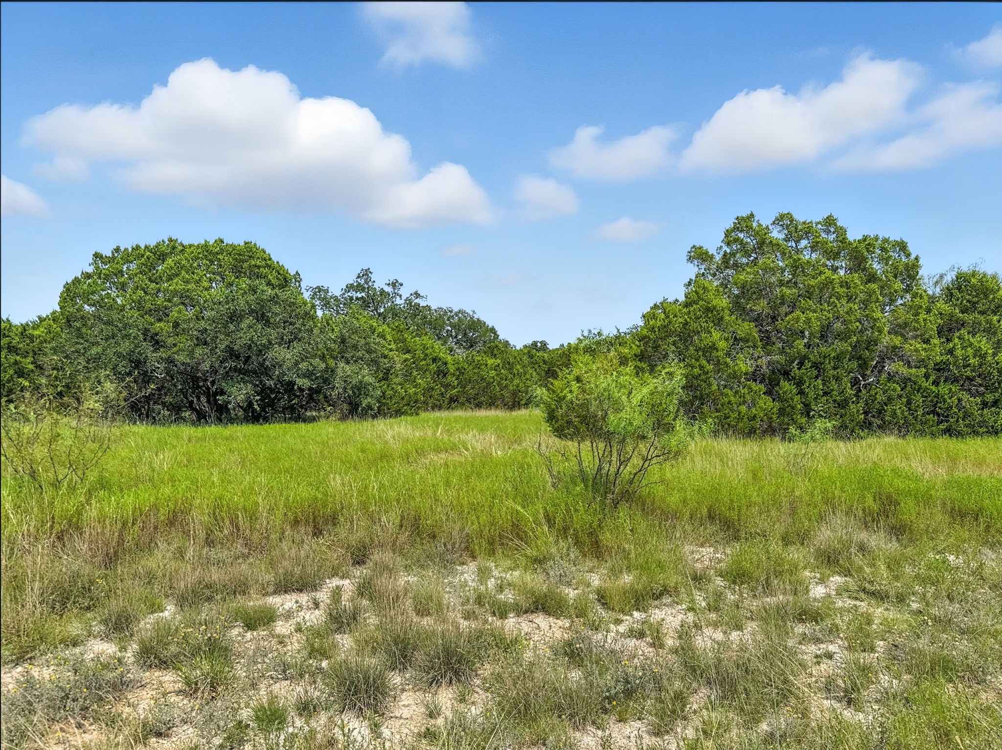 Lot 39 Ph 6 Private Road 42103 Evant TX 76525