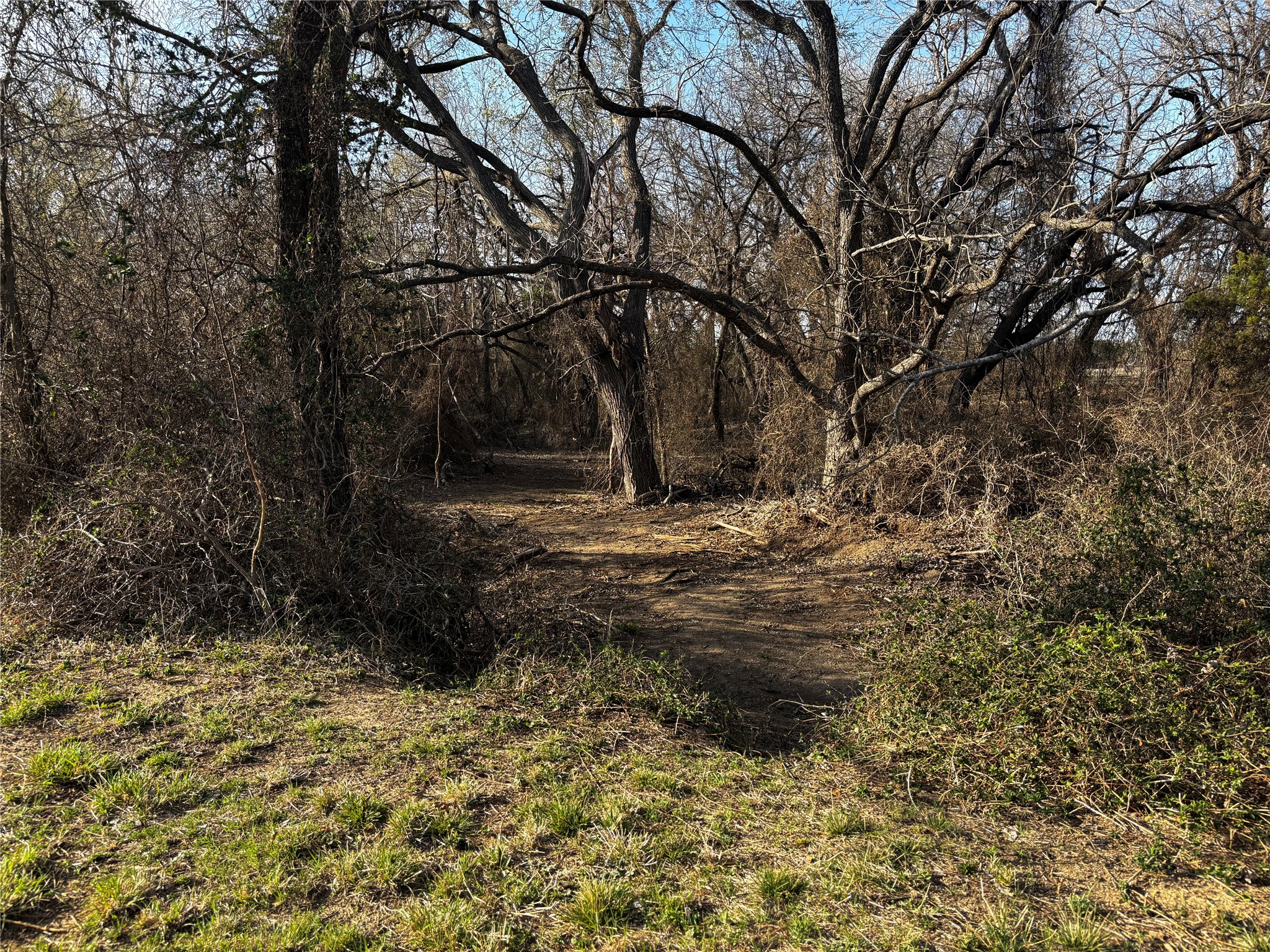 4025 County Road 175 Stephenville TX 76401