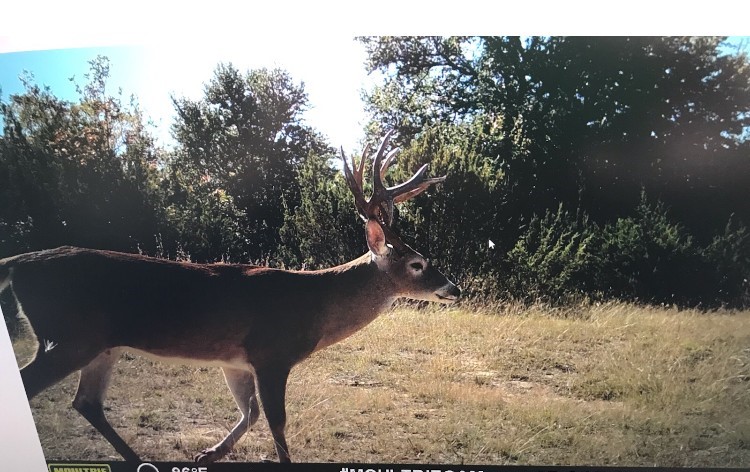 4025 County Road 175 Stephenville TX 76401