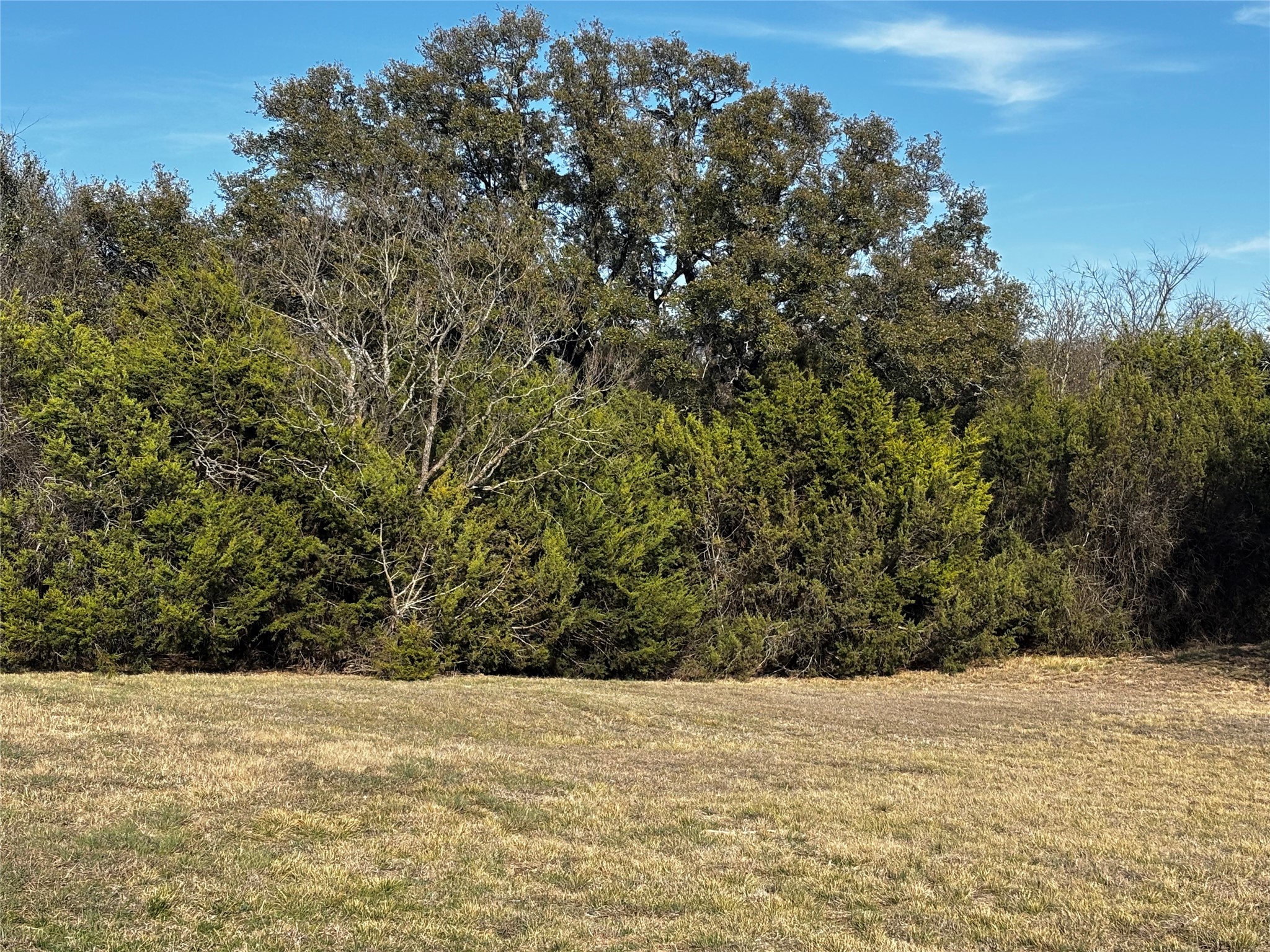 4025 County Road 175 Stephenville TX 76401