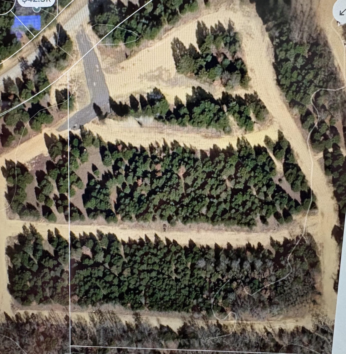 Lot 19 Riverton Pointe Drive Gordonville TX 76245