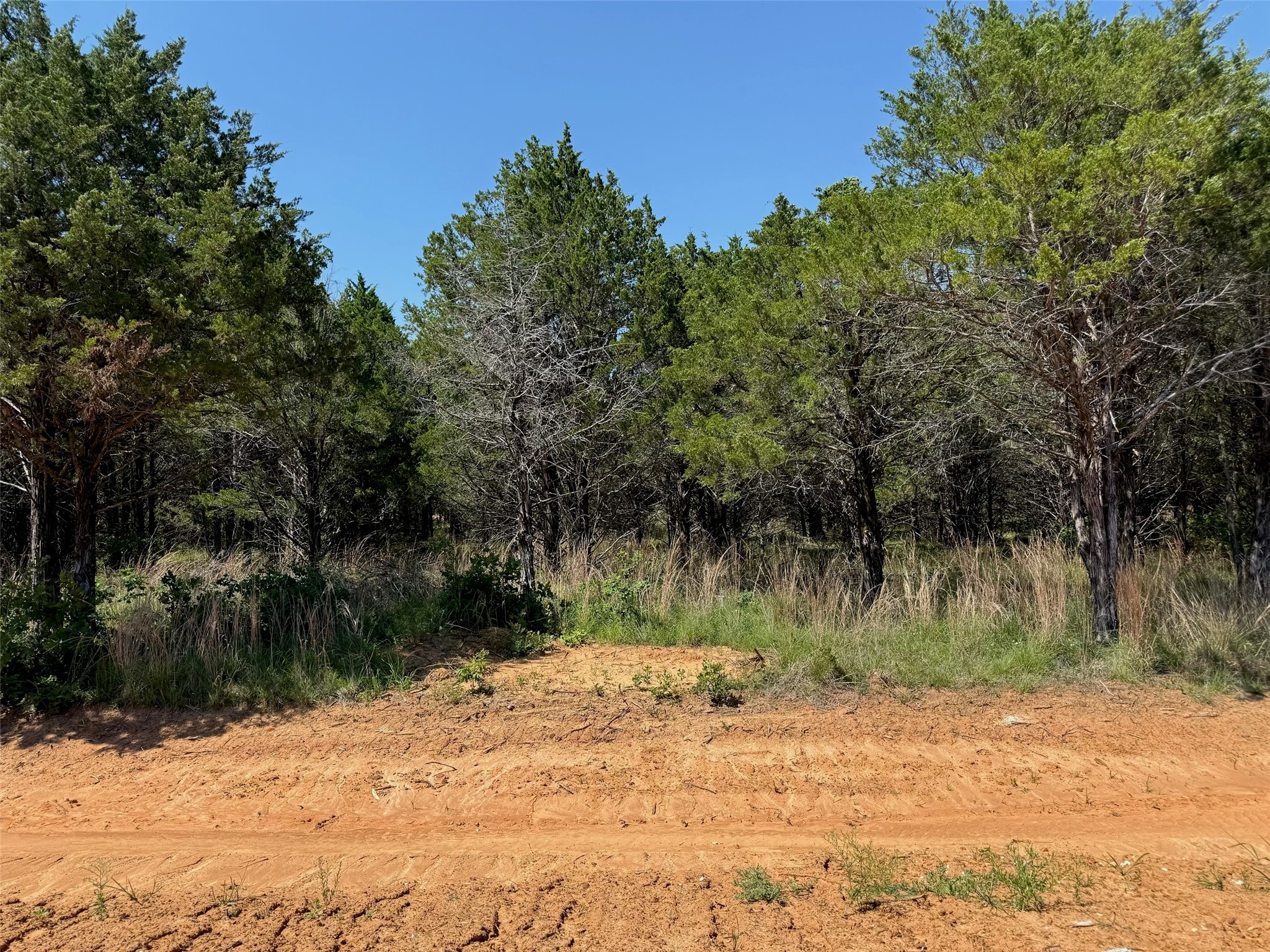 Lot 19 Riverton Pointe Drive Gordonville TX 76245