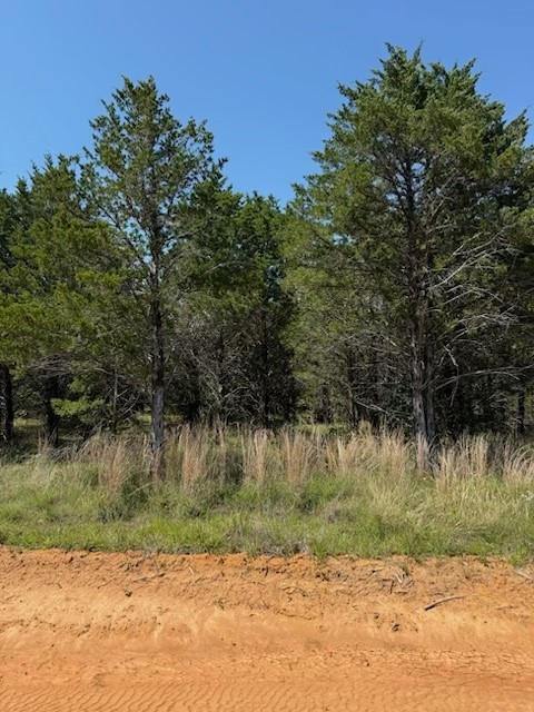 Lot 19 Riverton Pointe Drive Gordonville TX 76245