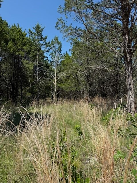 Lot 19 Riverton Pointe Drive Gordonville TX 76245