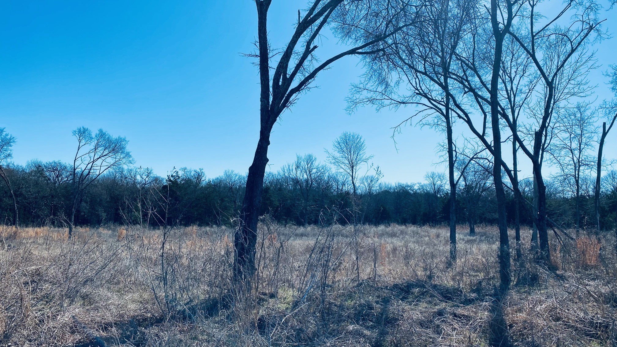 Lot 9 SE County Road 3140 Corsicana TX 75109