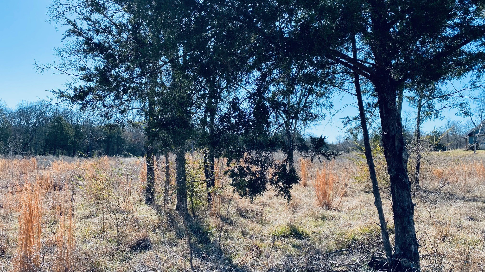 Lot 9 SE County Road 3140 Corsicana TX 75109