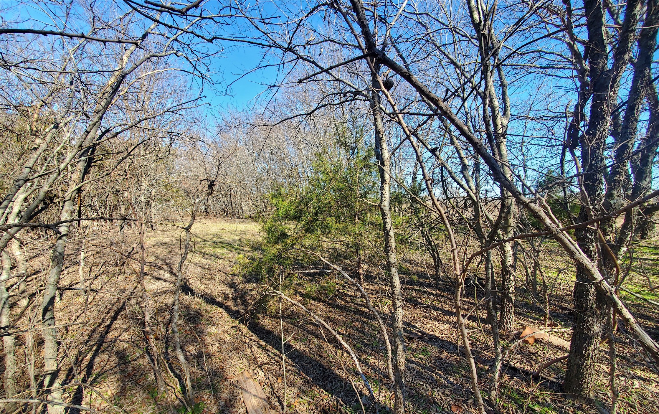 Tbd County Road 4665 Leonard TX 75452