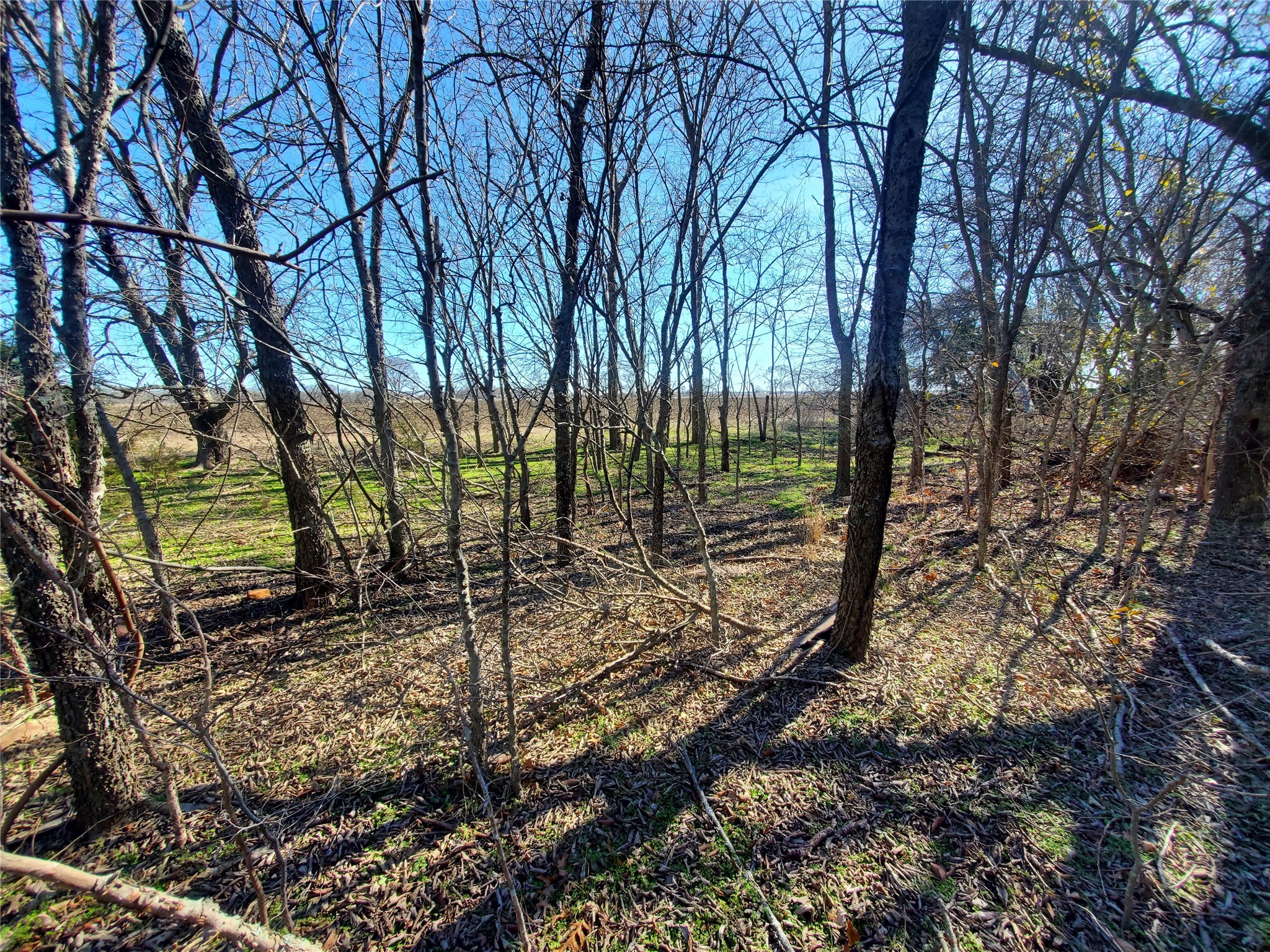 Tbd County Road 4665 Leonard TX 75452