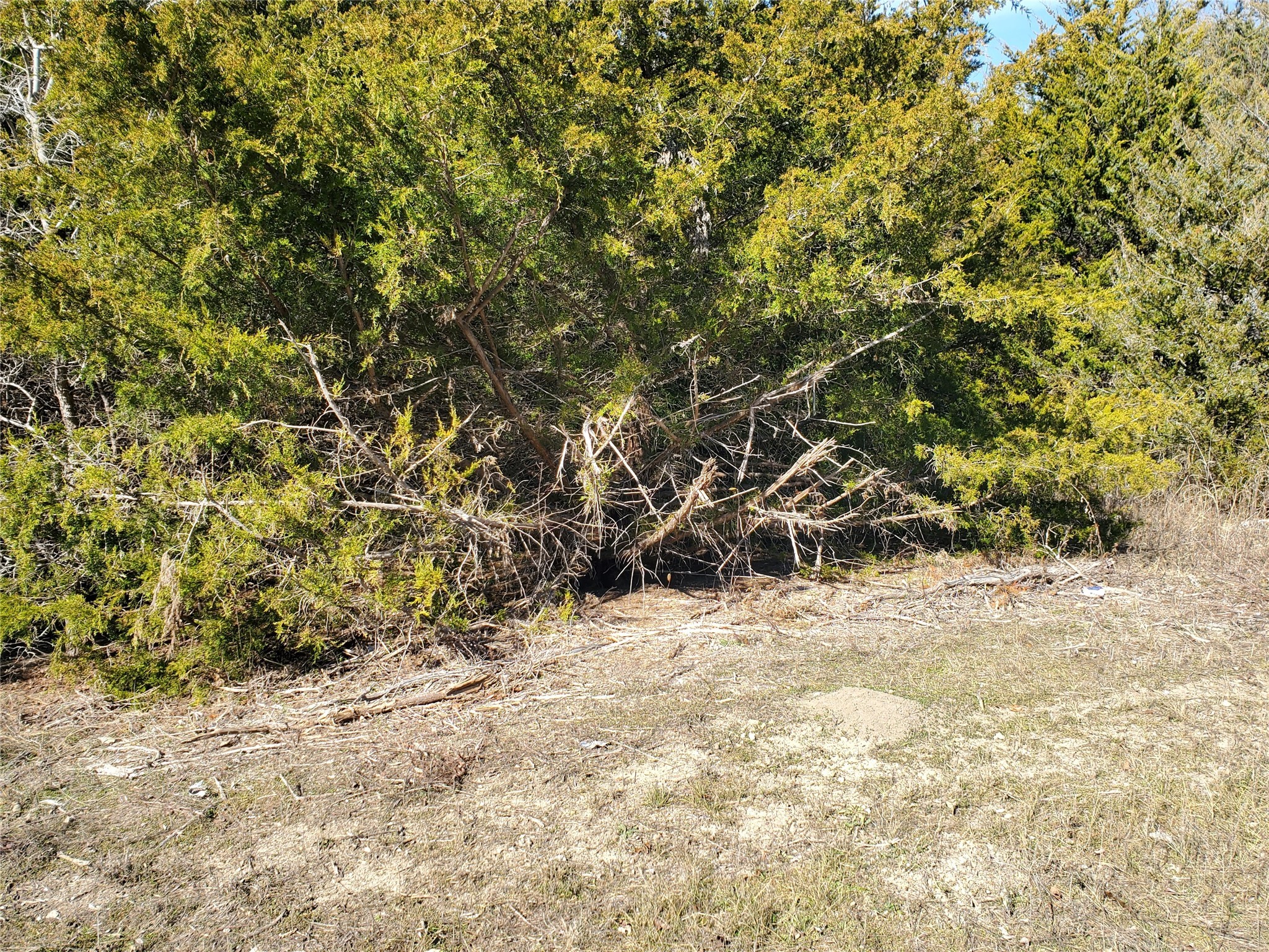 Tbd County Road 4665 Leonard TX 75452