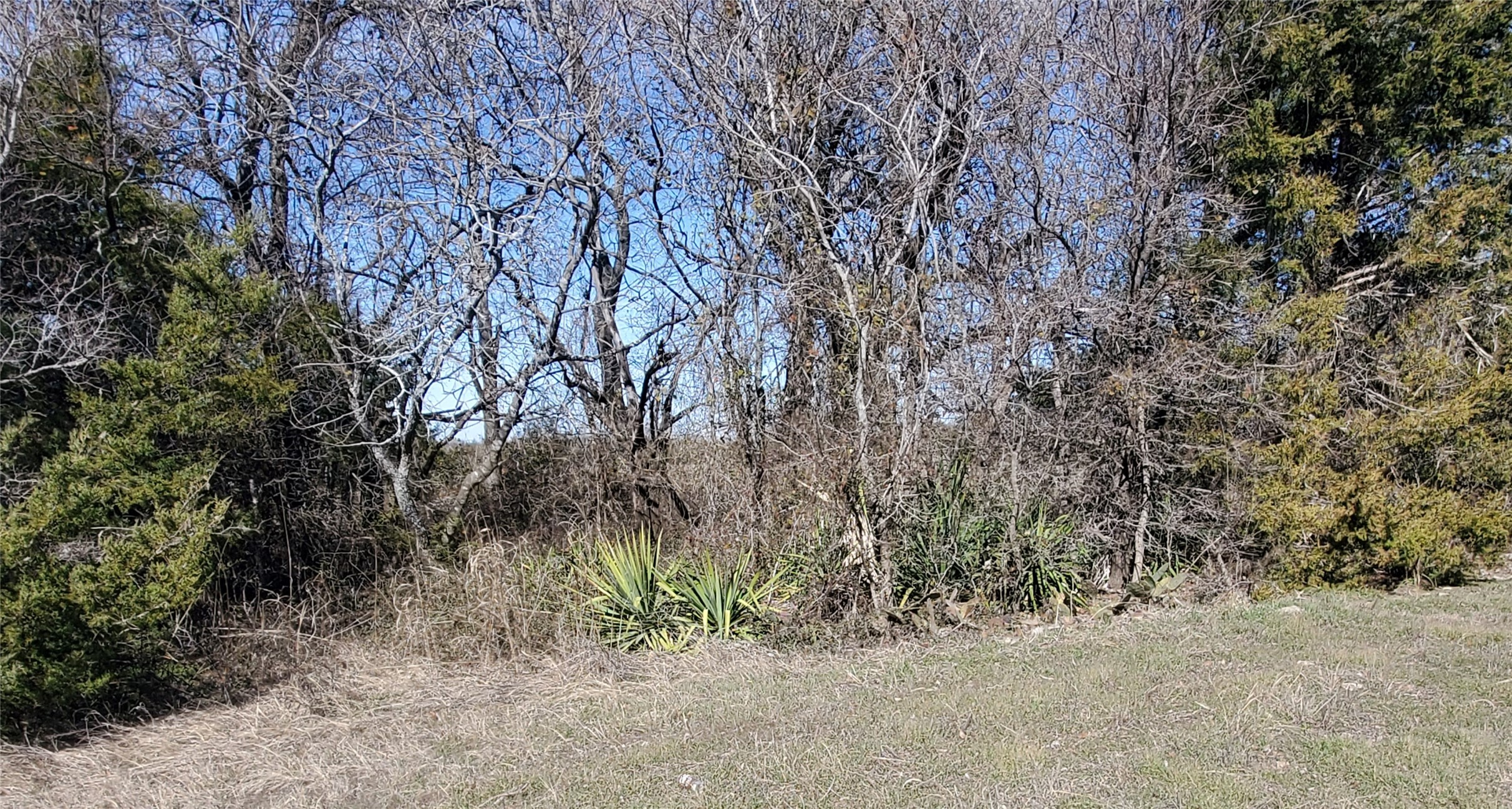 Tbd County Road 4665 Leonard TX 75452