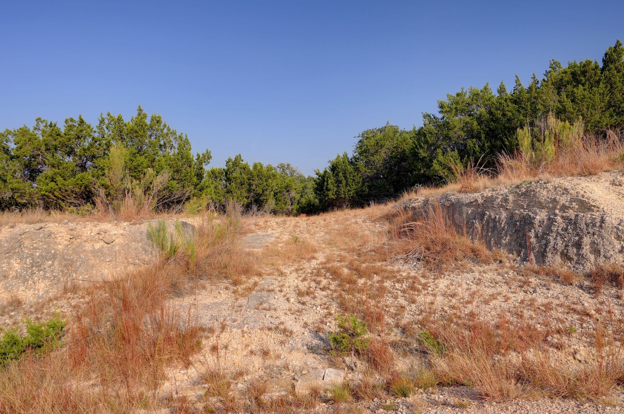 308 River Ridge Spring Branch TX 78070