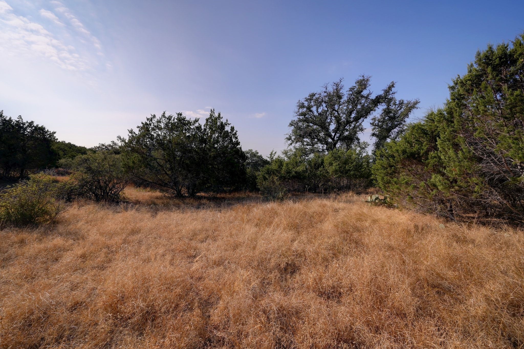 308 River Ridge Spring Branch TX 78070