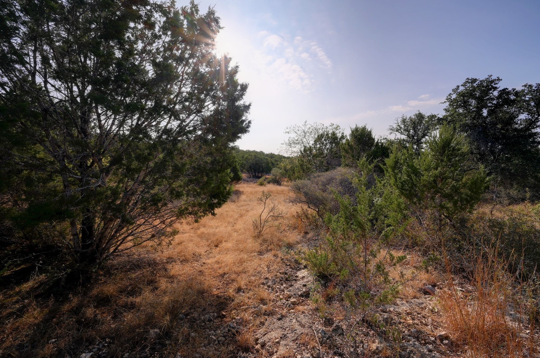 308 River Ridge Spring Branch TX 78070