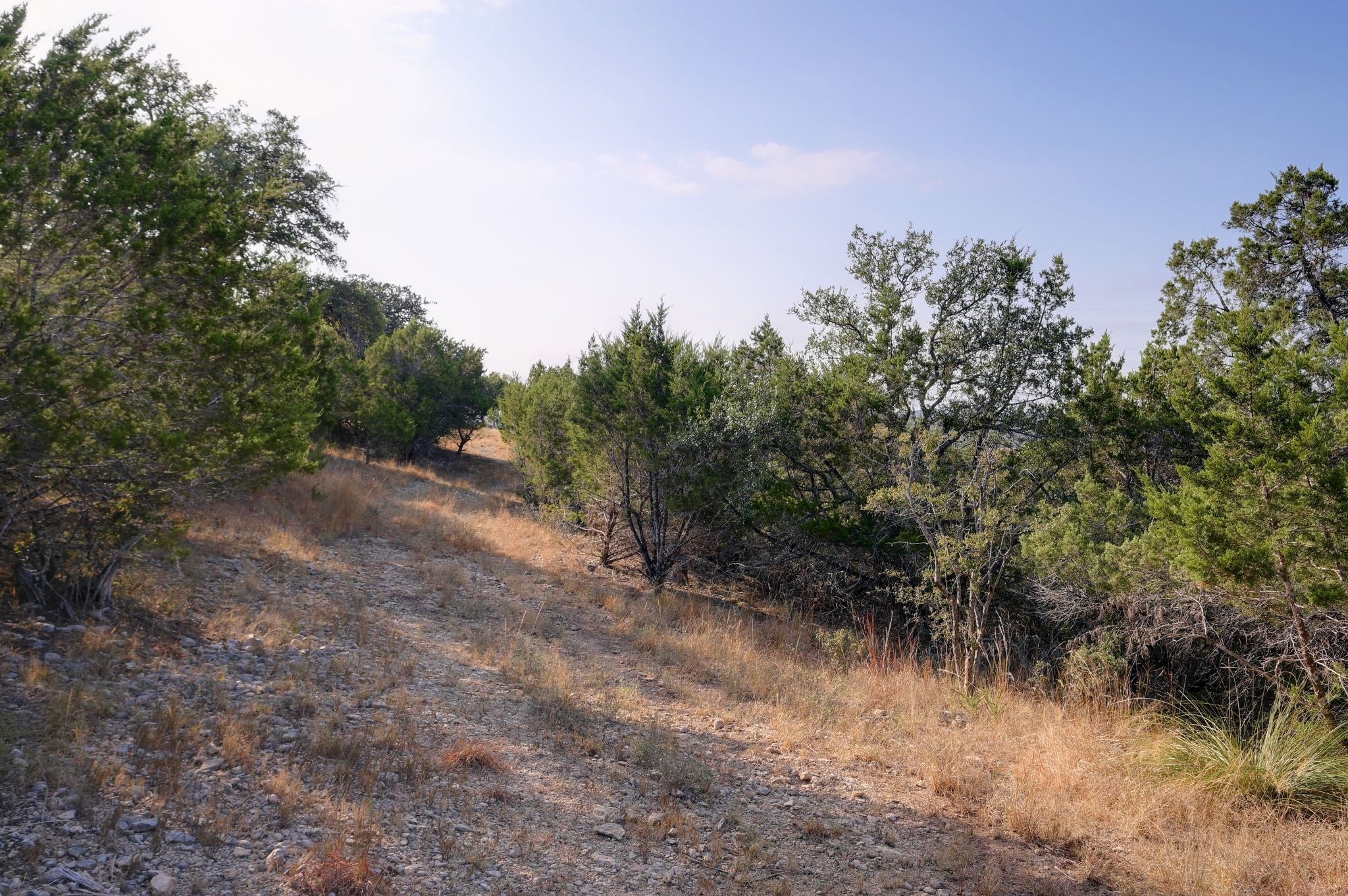308 River Ridge Spring Branch TX 78070