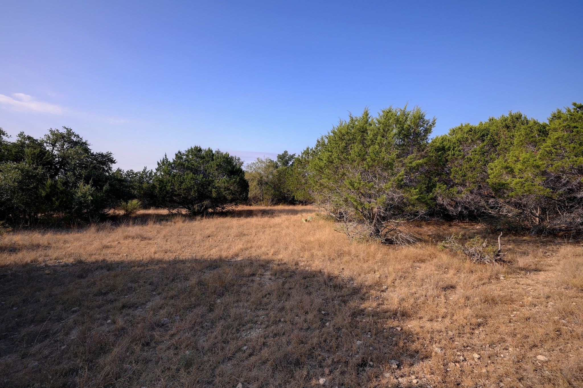 308 River Ridge Spring Branch TX 78070