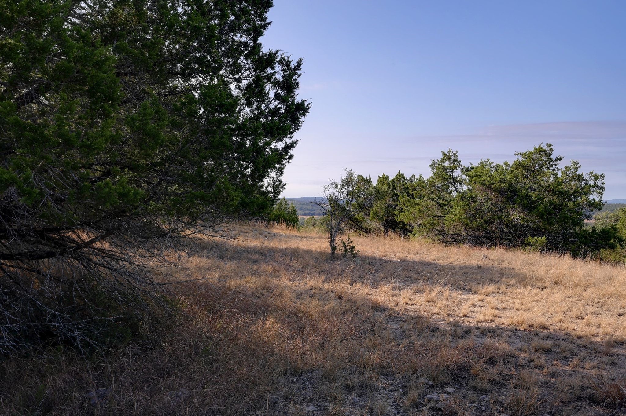 308 River Ridge Spring Branch TX 78070