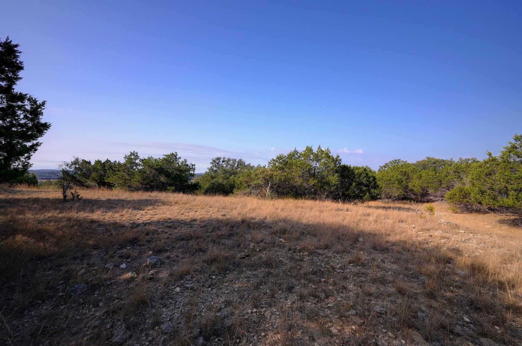 308 River Ridge Spring Branch TX 78070