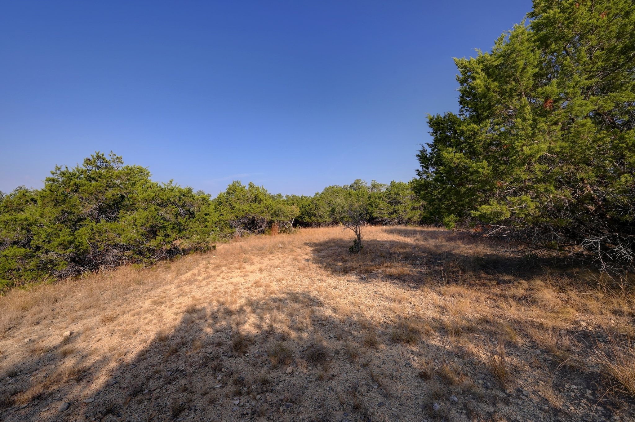308 River Ridge Spring Branch TX 78070