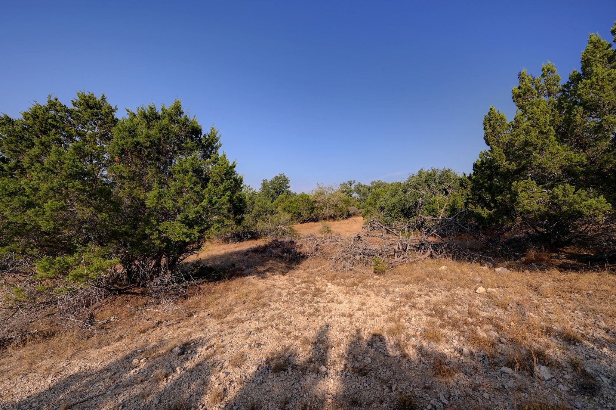 308 River Ridge Spring Branch TX 78070