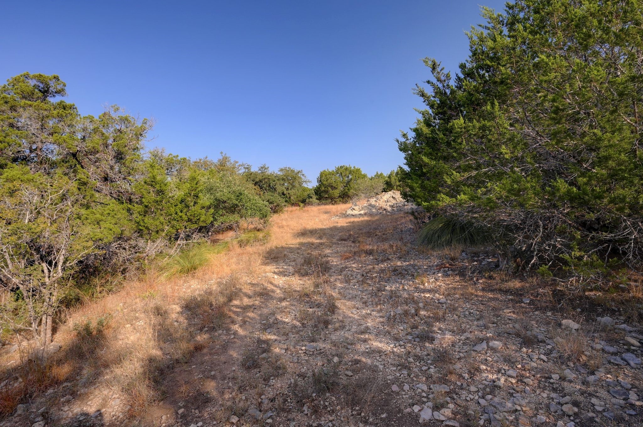 308 River Ridge Spring Branch TX 78070