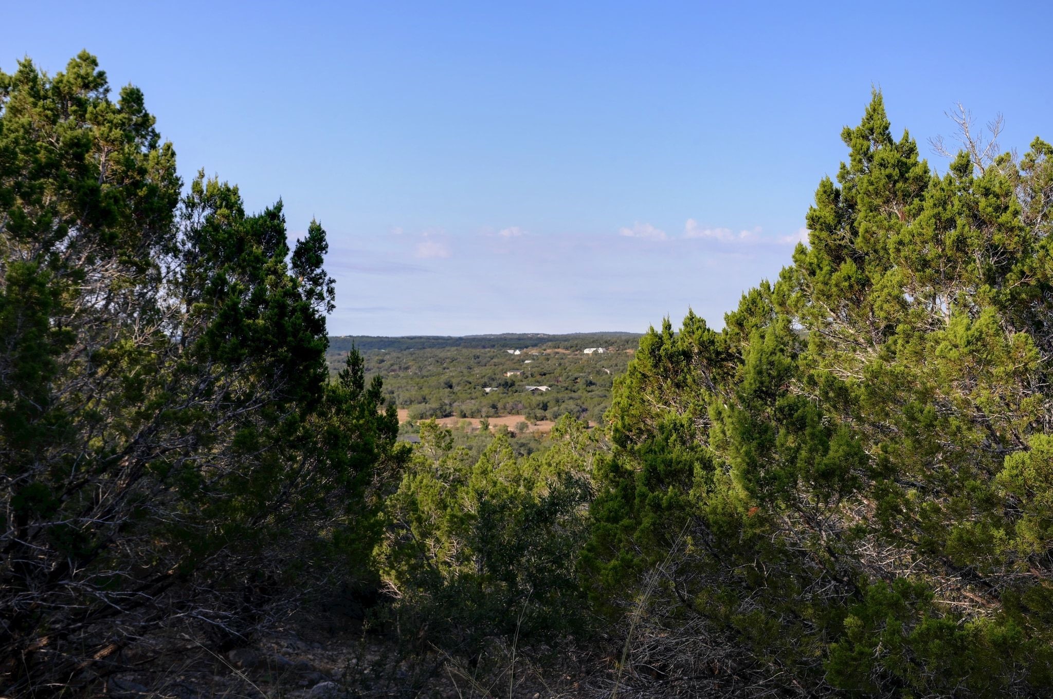 308 River Ridge Spring Branch TX 78070