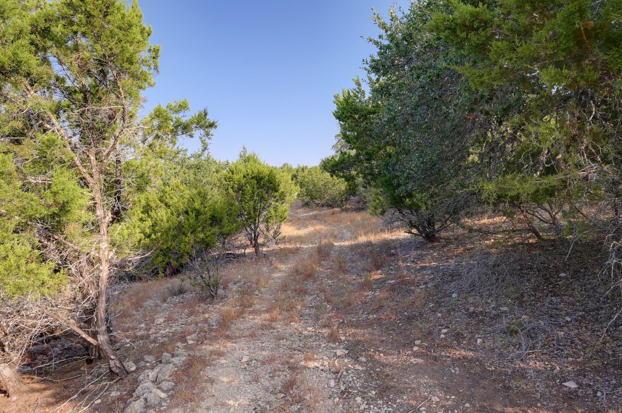 308 River Ridge Spring Branch TX 78070