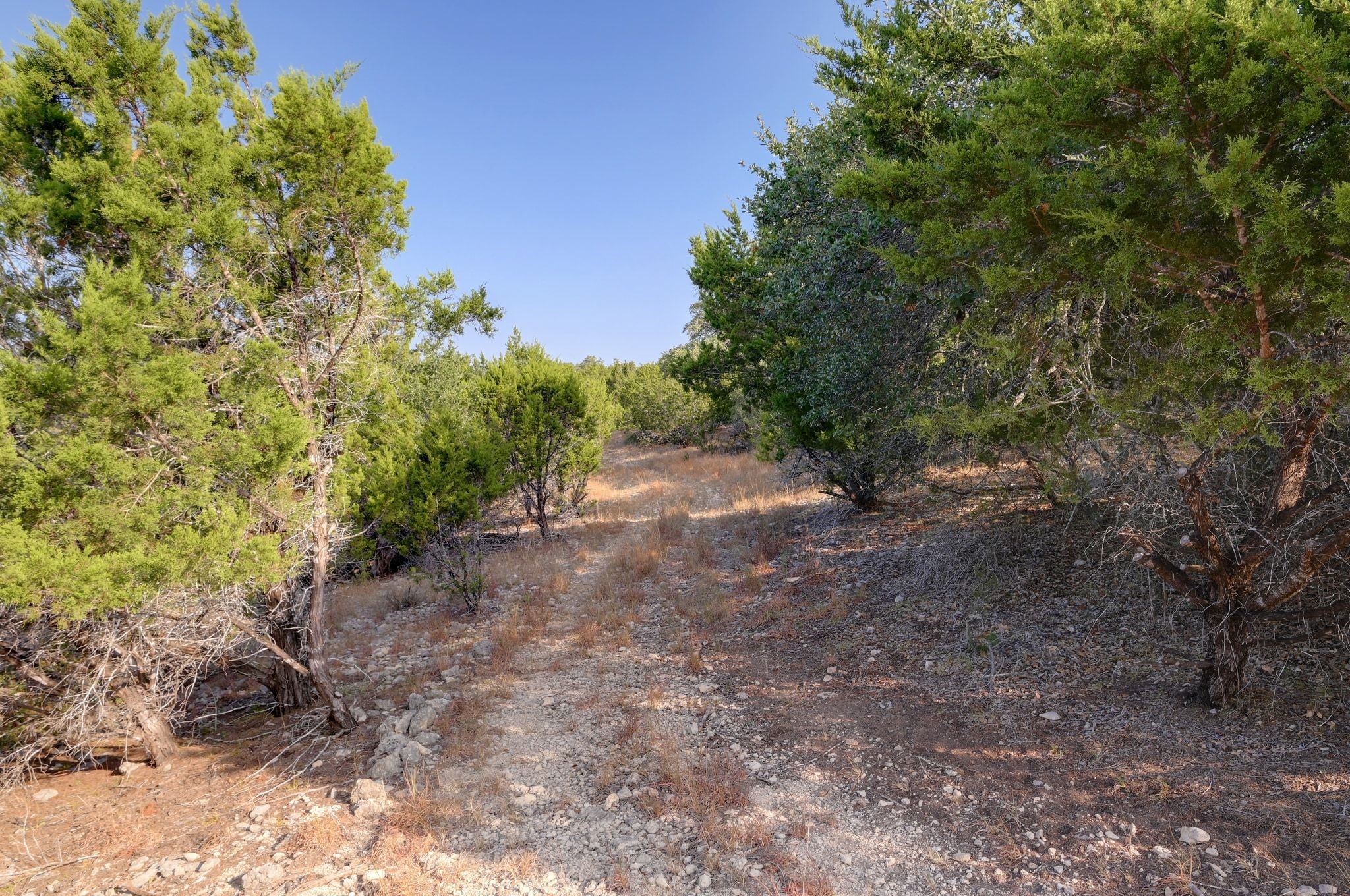 308 River Ridge Spring Branch TX 78070
