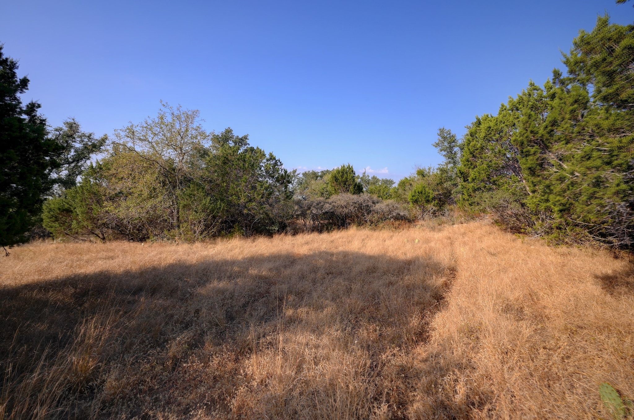 308 River Ridge Spring Branch TX 78070