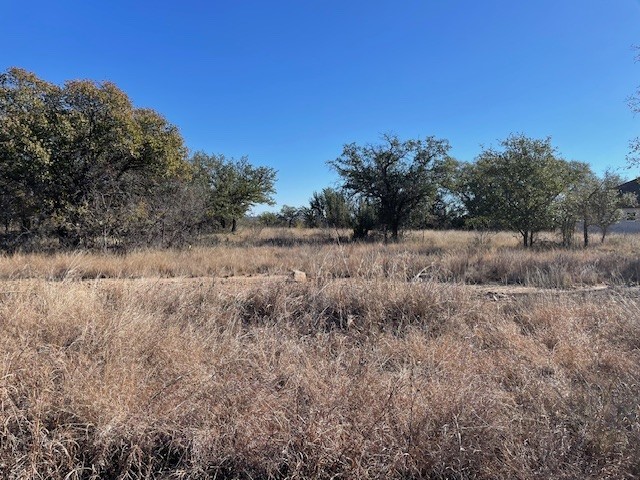Tbd Willie B Drive Willie B Drive Brownwood TX 76801