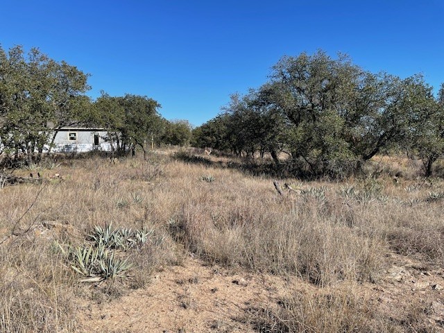 Tbd Willie B Drive Willie B Drive Brownwood TX 76801