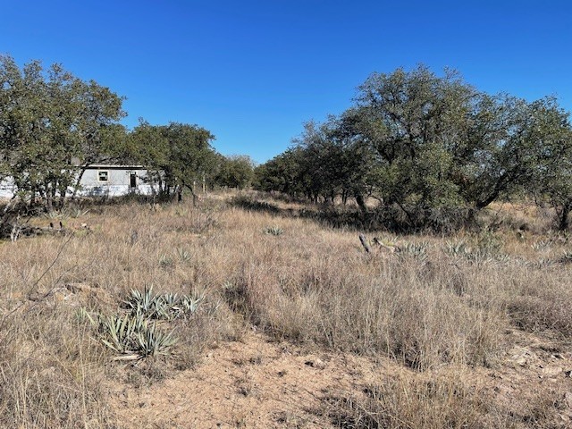 Tbd Willie B Drive Willie B Drive Brownwood TX 76801