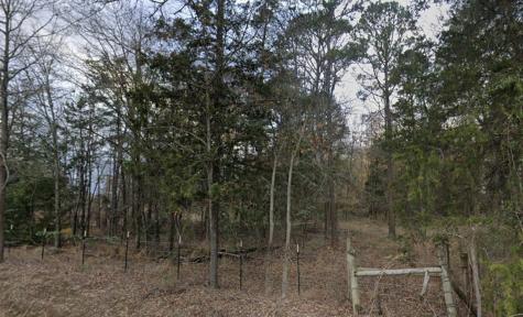 Tbd County Road SE 4350 Scroggins TX 75480