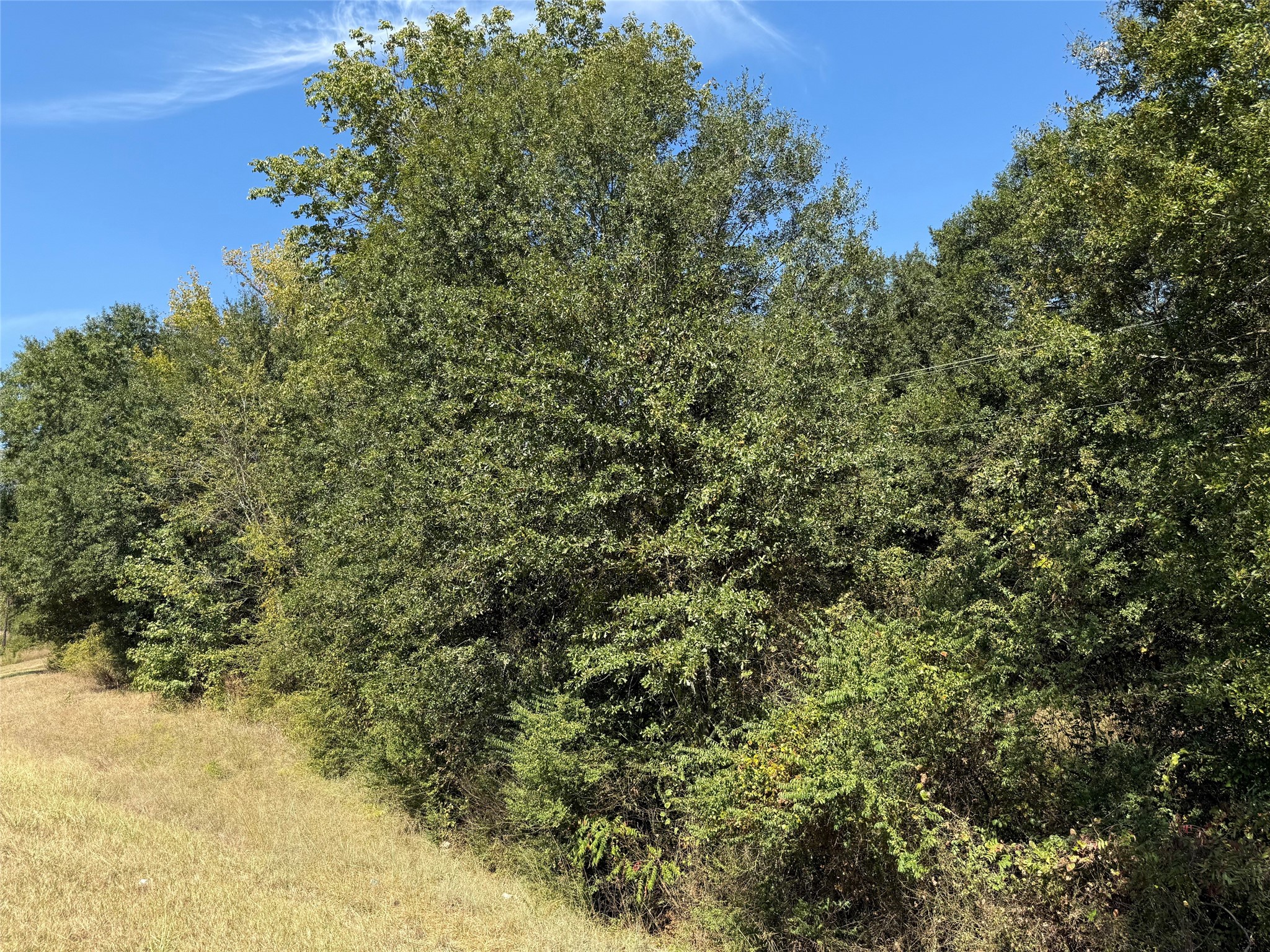 Tbd E Us Highway 80 Hawkins TX 75765