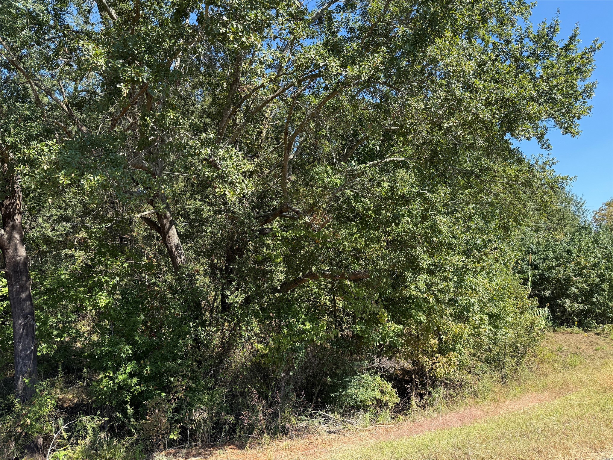 Tbd E Us Highway 80 Hawkins TX 75765