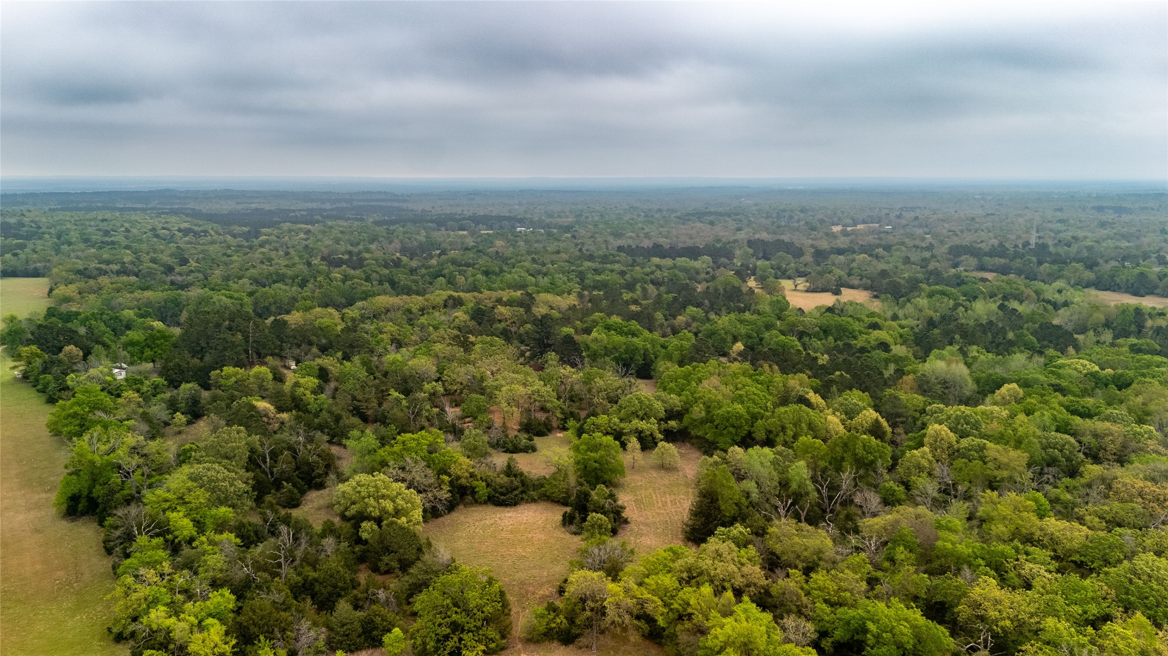 325 Fcr 261 Oakwood TX 75855
