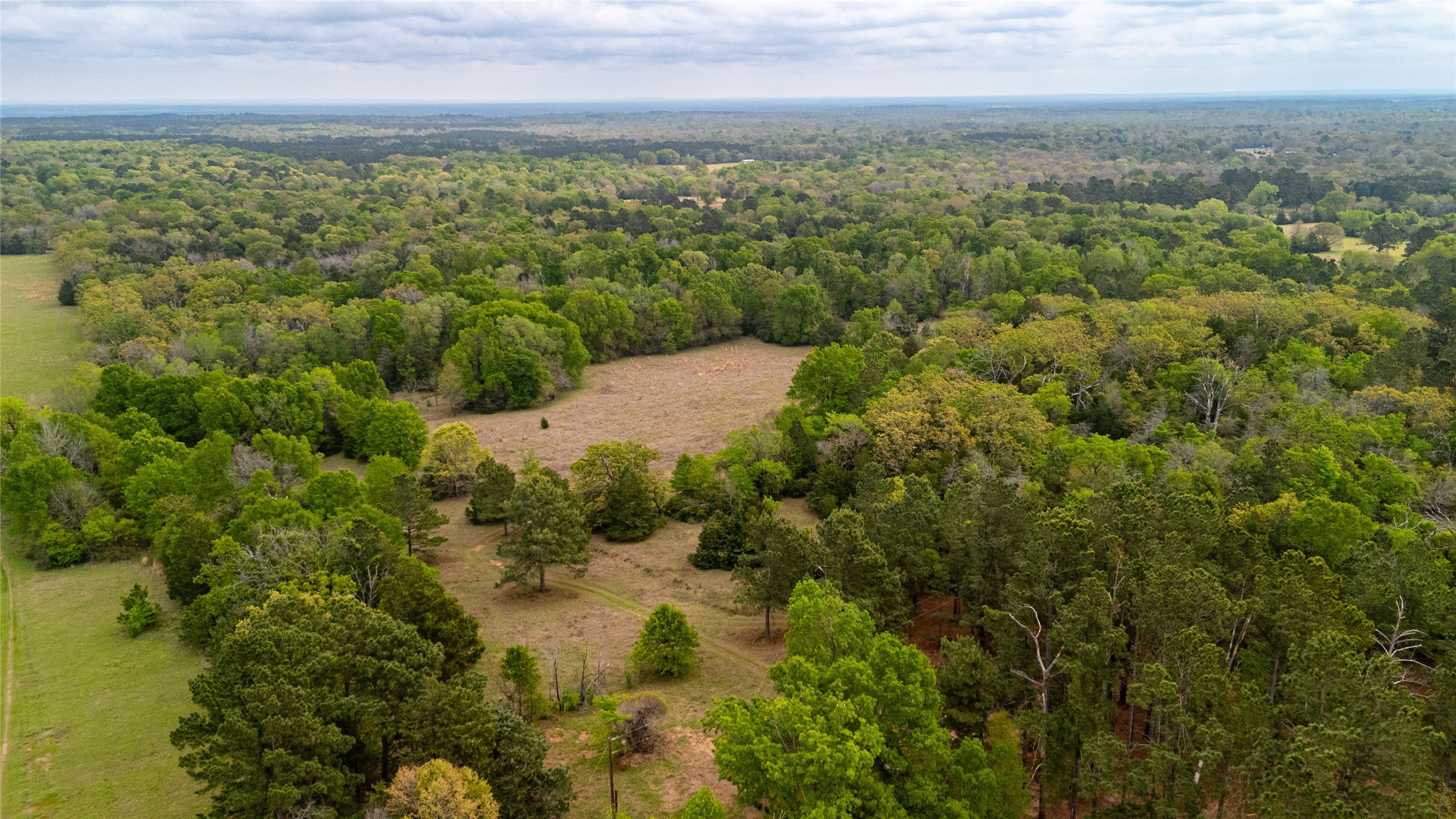 325 Fcr 261 Oakwood TX 75855
