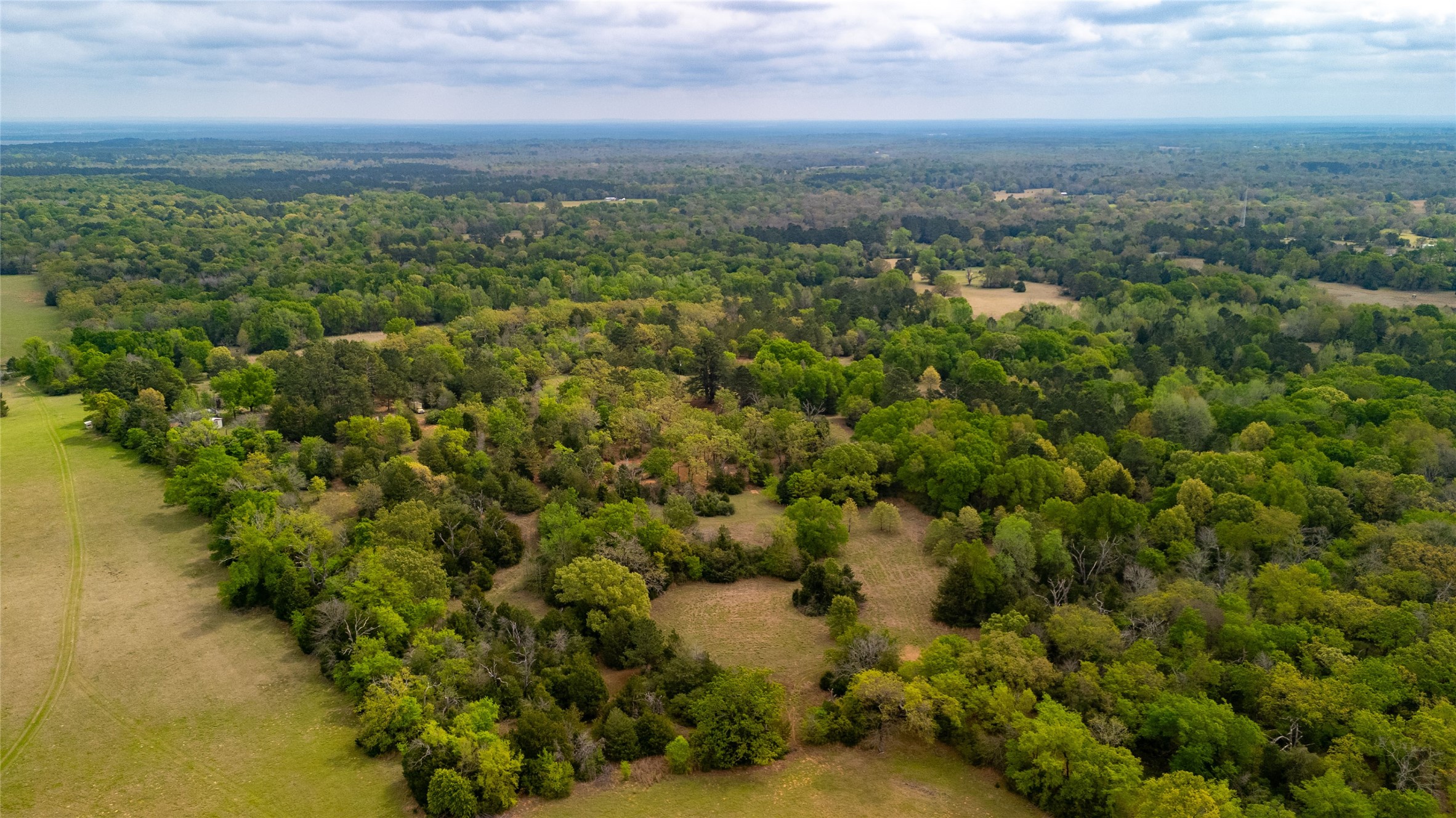 325 Fcr 261 Oakwood TX 75855