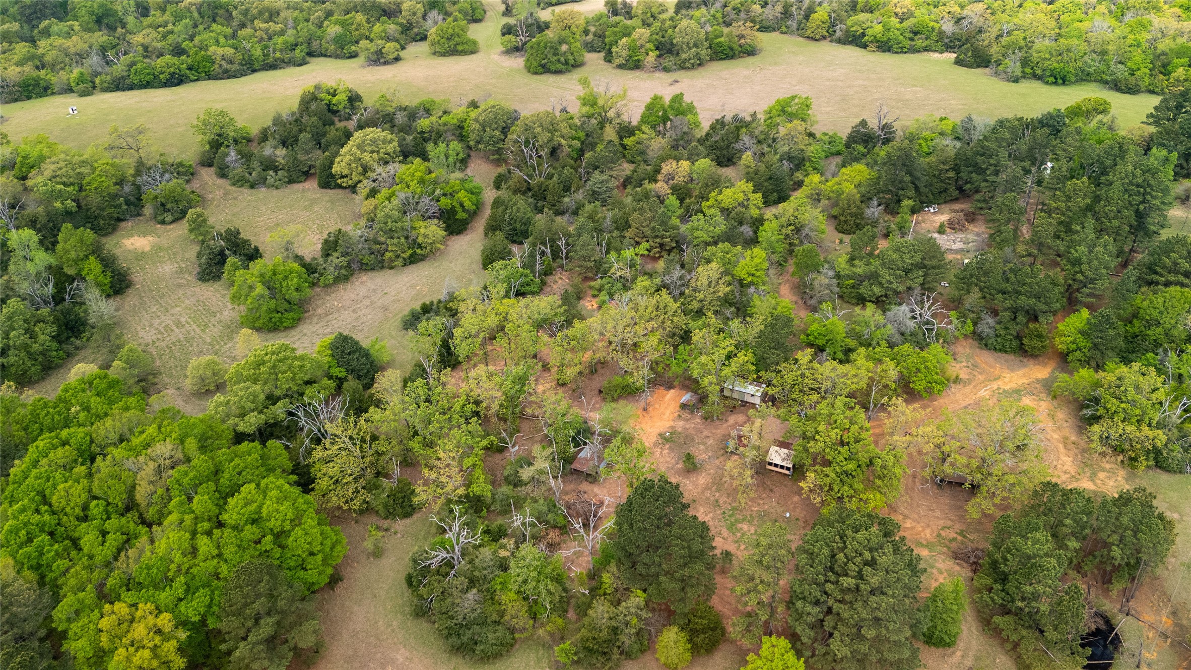 325 Fcr 261 Oakwood TX 75855