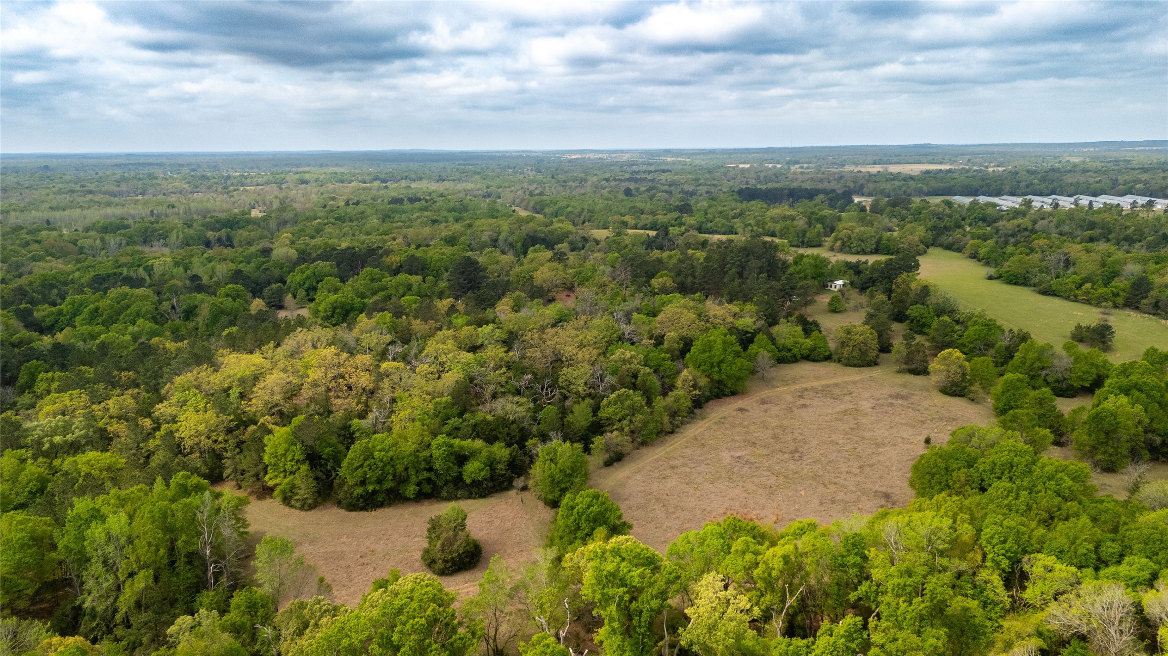 325 Fcr 261 Oakwood TX 75855