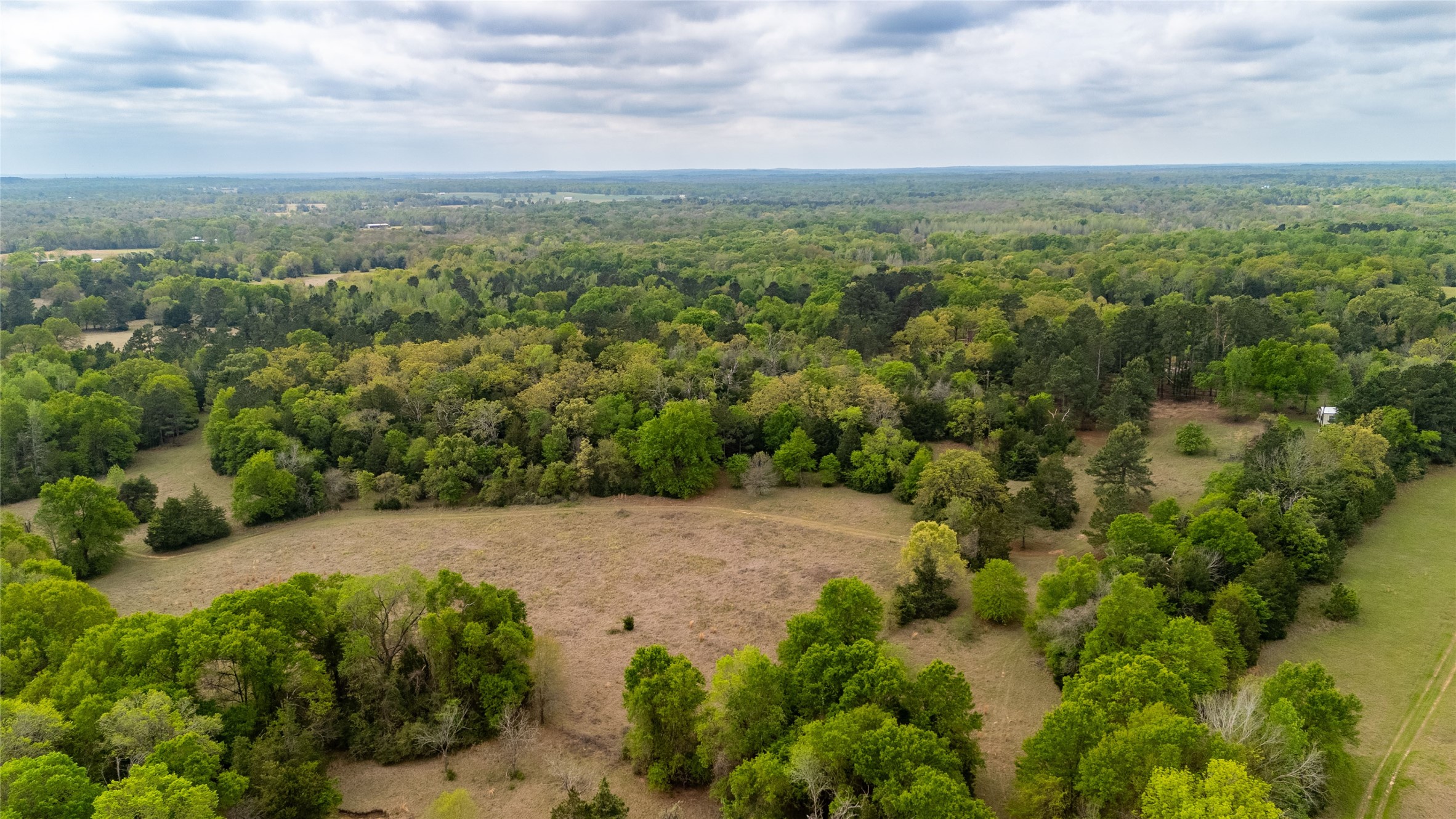 325 Fcr 261 Oakwood TX 75855