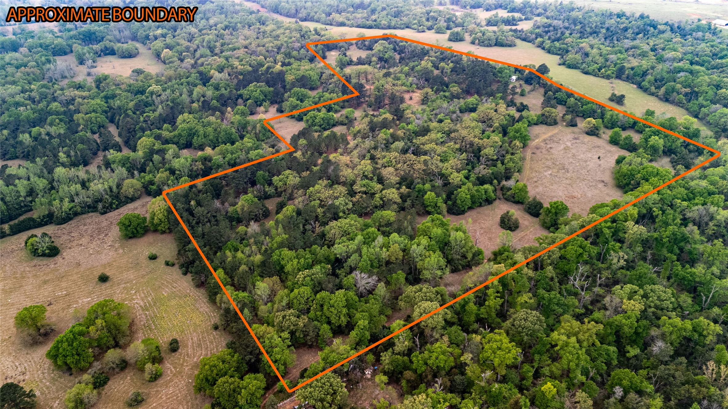 325 Fcr 261 Oakwood TX 75855