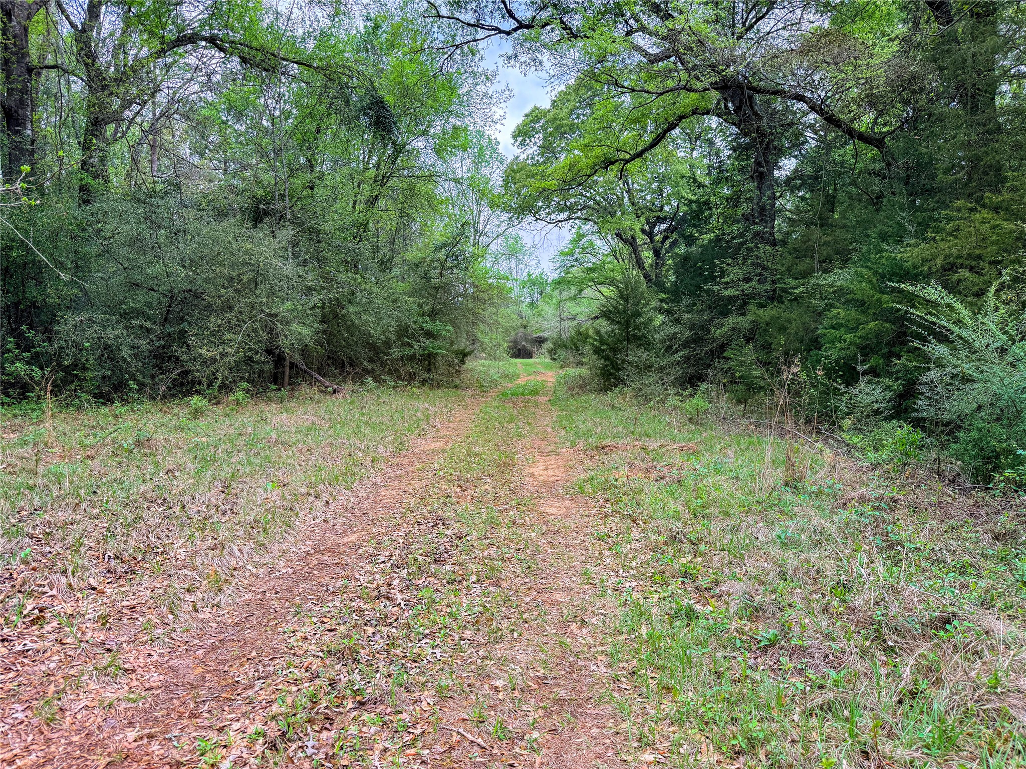 325 Fcr 261 Oakwood TX 75855