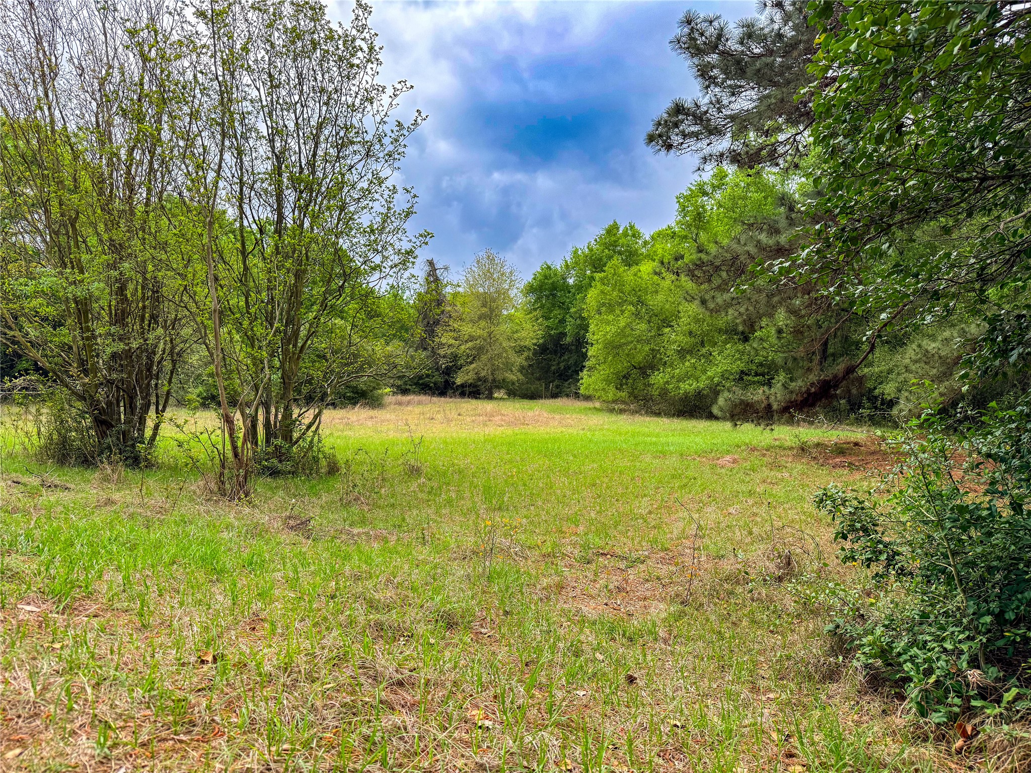 325 Fcr 261 Oakwood TX 75855